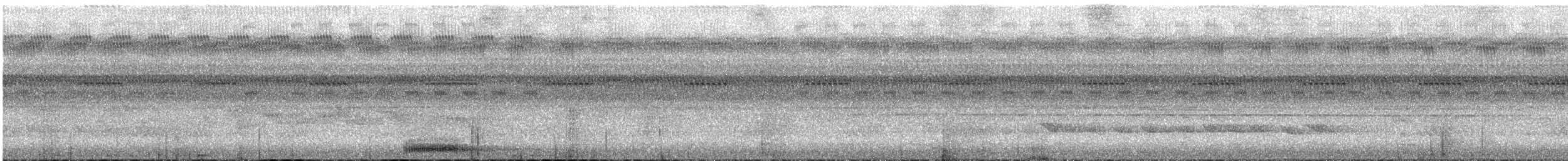 výreček molucký - ML647536164