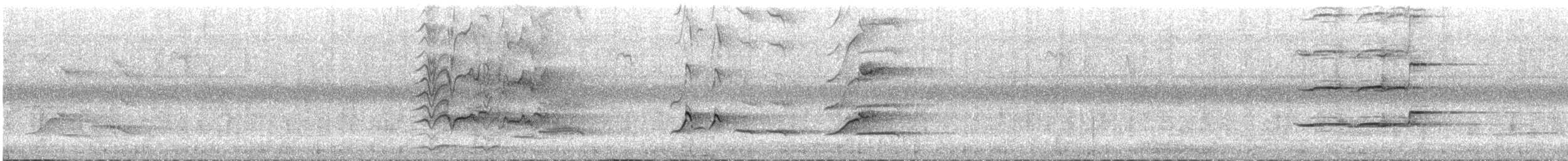 Prachtlori - ML647536282