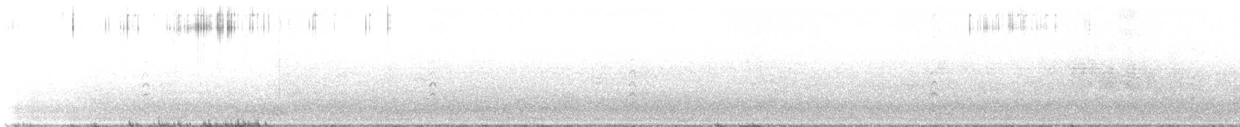 Black-winged Stilt - ML647536894