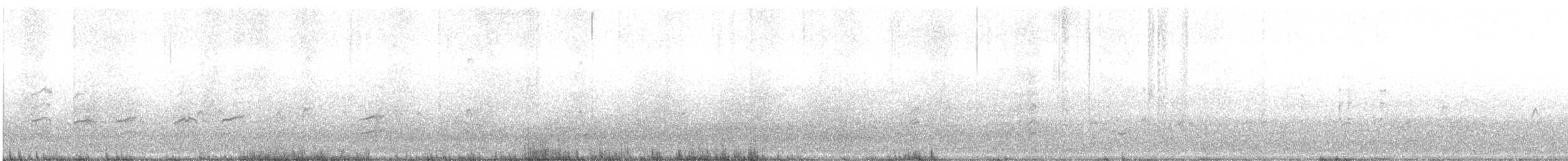 Black-winged Stilt - ML647536931