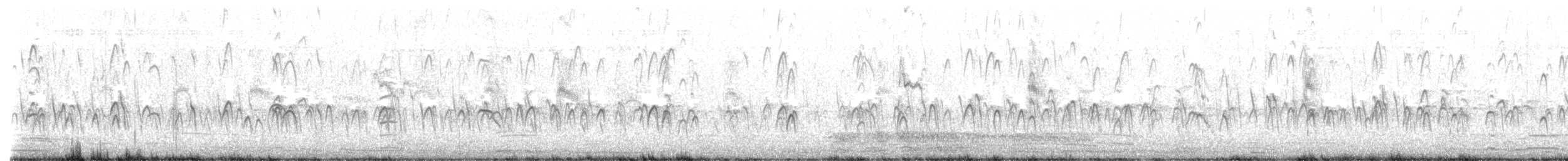 Black-winged Stilt - ML647537393