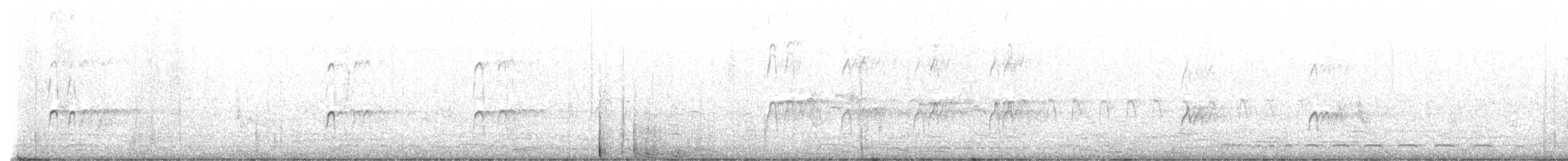 Black-winged Stilt - ML647537394