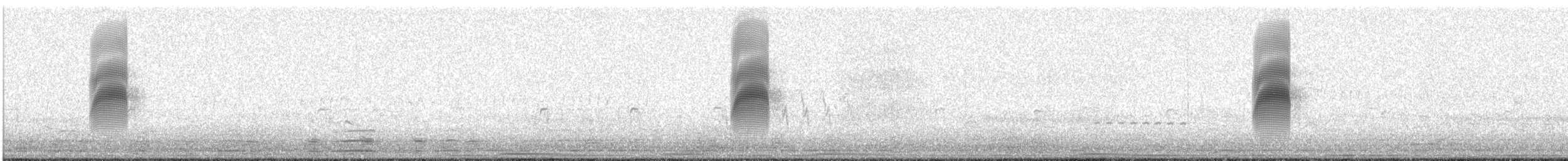 American Woodcock - ML647537477