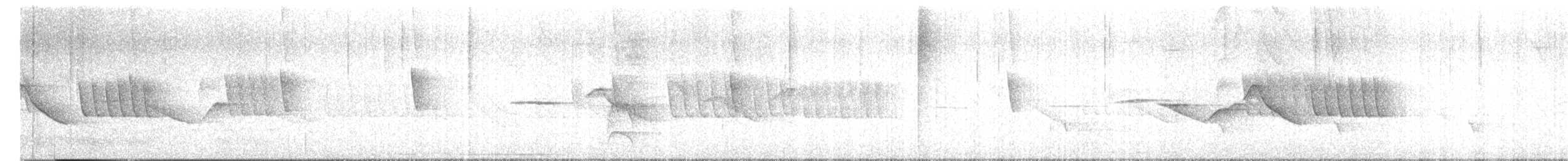 Rufous-collared Sparrow - ML647537849