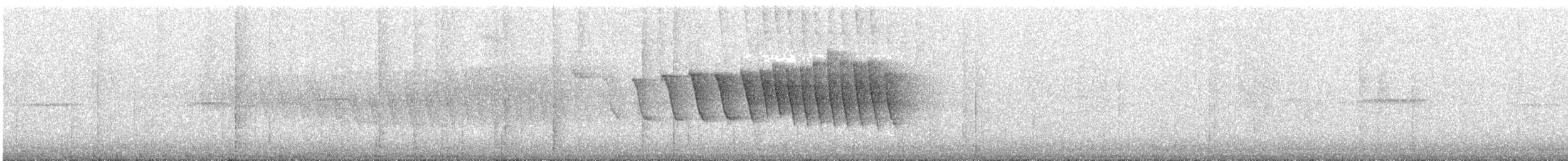 Adelaide's Warbler - ML647538181