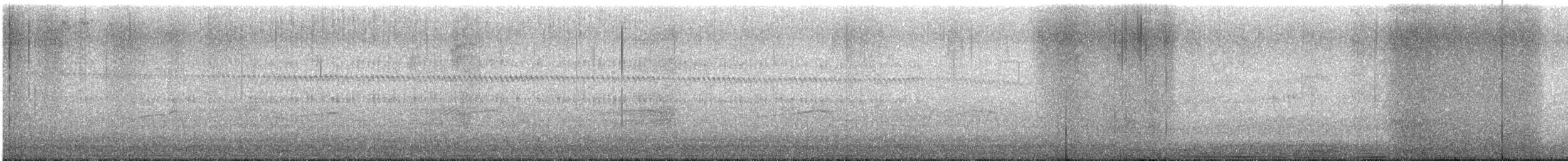 Harris's Hawk - ML647538419