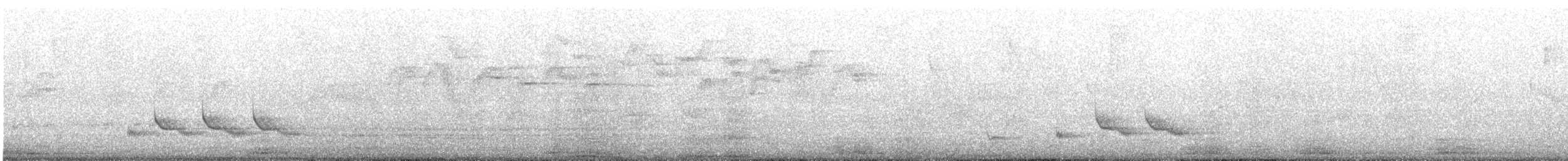 Long-tailed Mockingbird - ML647538453