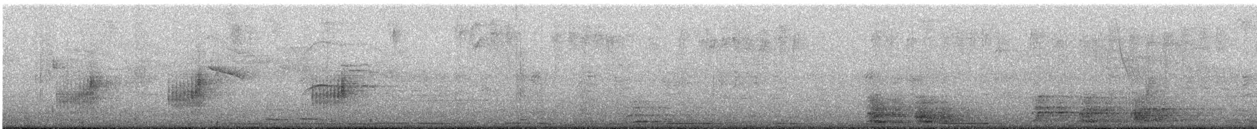 Southern House Wren - ML647538462