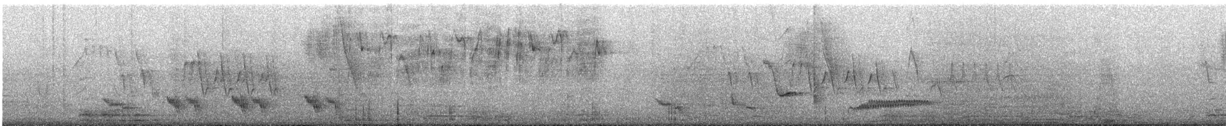 Long-tailed Mockingbird - ML647538667