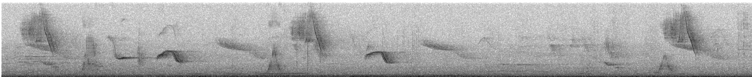 Croaking Ground Dove - ML647538670