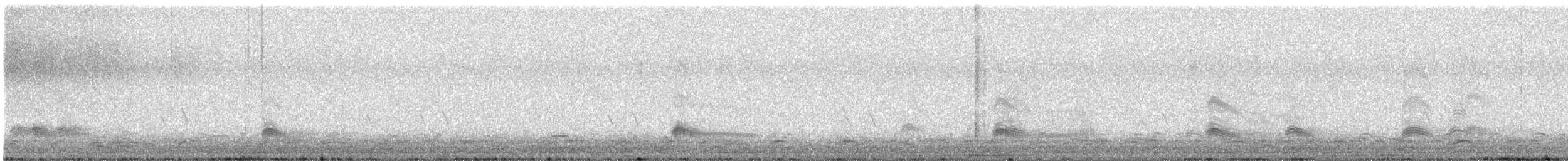 Bonaparte's Gull - ML647538688