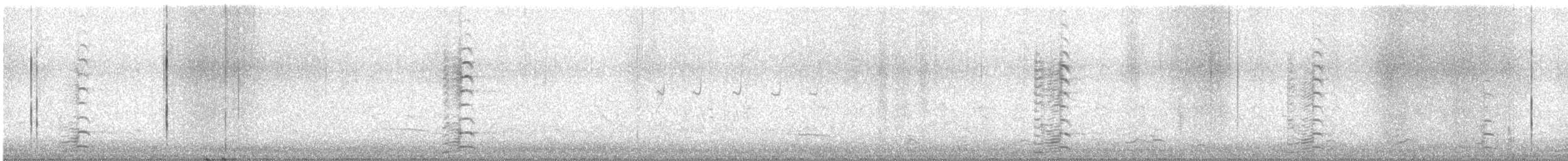 Cackling Goose - ML647538736