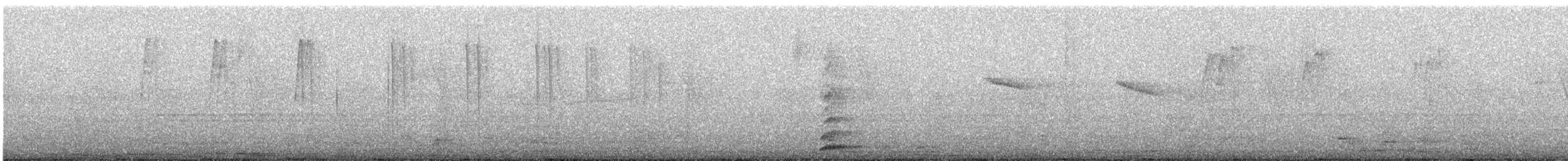 Amazilia Hummingbird - ML647538817