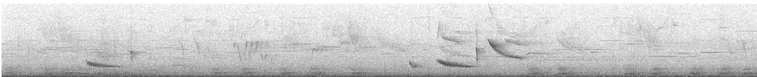 Long-tailed Mockingbird - ML647538824