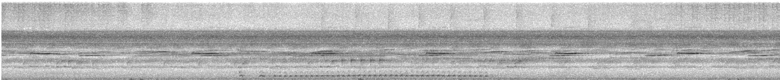 Puerto Rican Owl - ML647538883