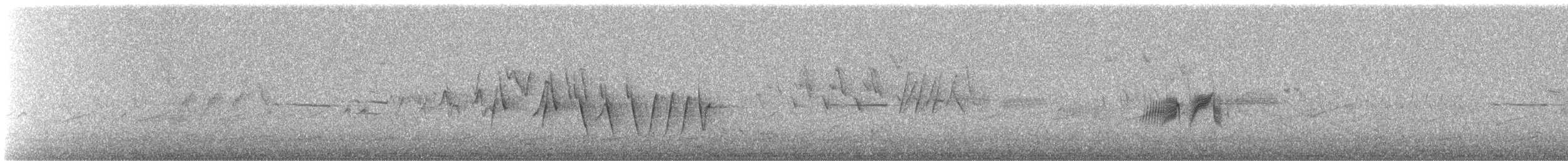 Northern Waterthrush - ML647538981