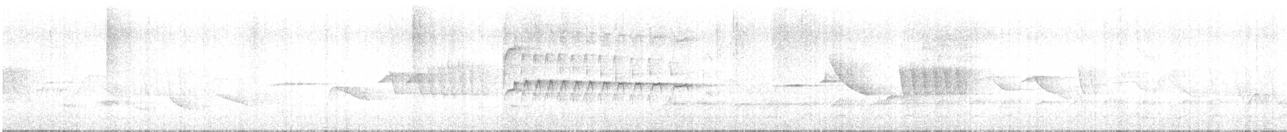 Southern Beardless-Tyrannulet - ML647539088