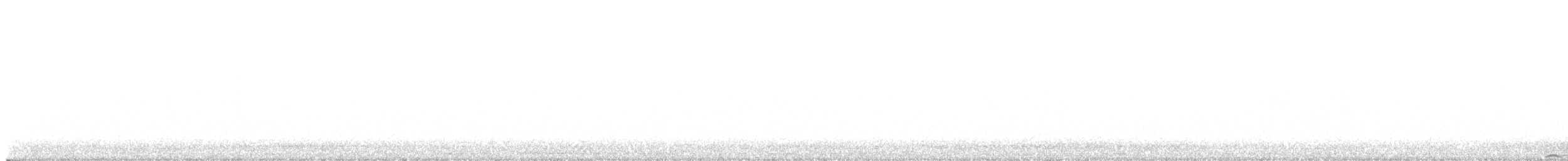 Amerika Puhusu - ML647539522