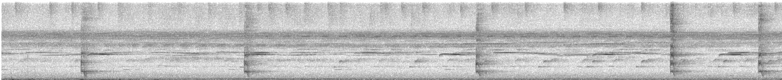 Limpkin - ML647539608