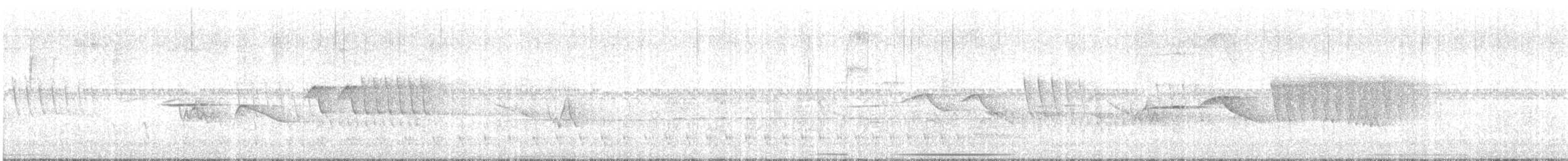 Большая тараба - ML647539651