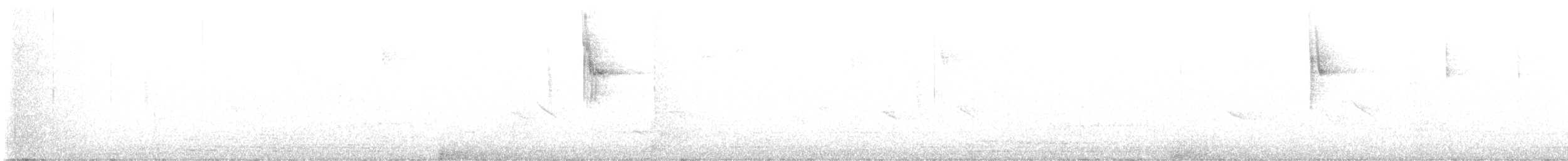 Красная вильсония (rubra/rowleyi) - ML647539653