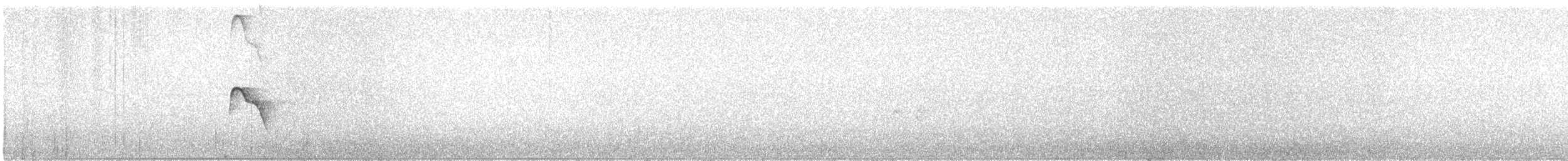 Карибская эления - ML647539658