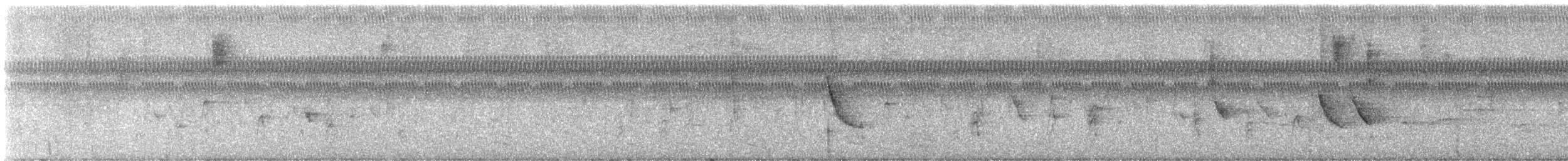 Elegant Euphonia - ML647540728