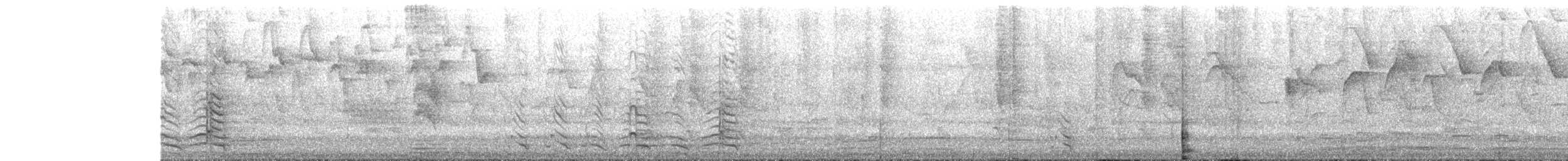 Amazone à front jaune - ML647540993