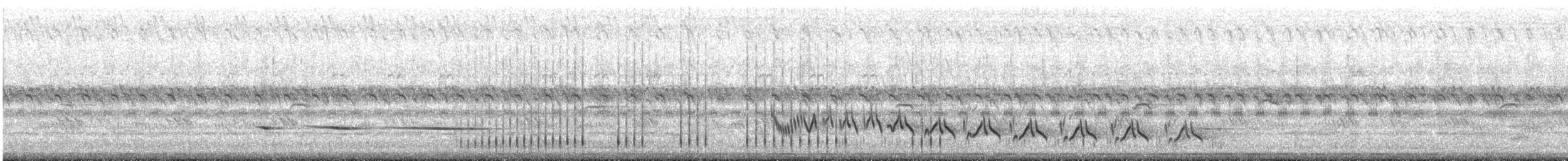 Tchagra à tête brune - ML647541018