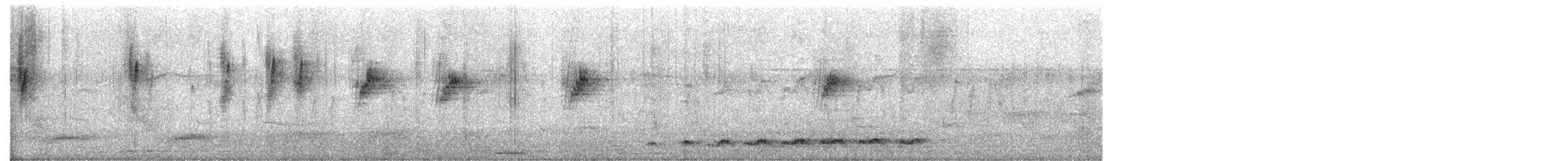 Asian Koel - ML647541236