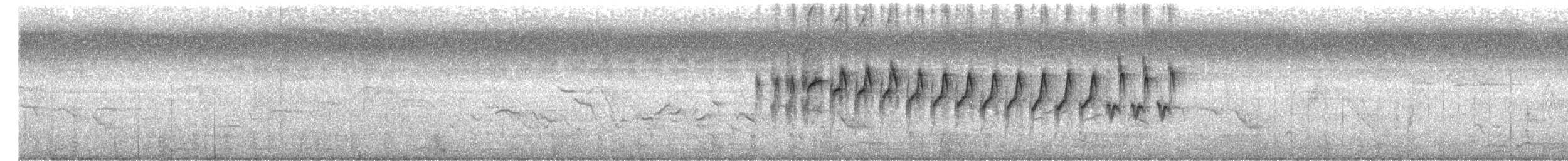 Souimanga asiatique - ML647541480