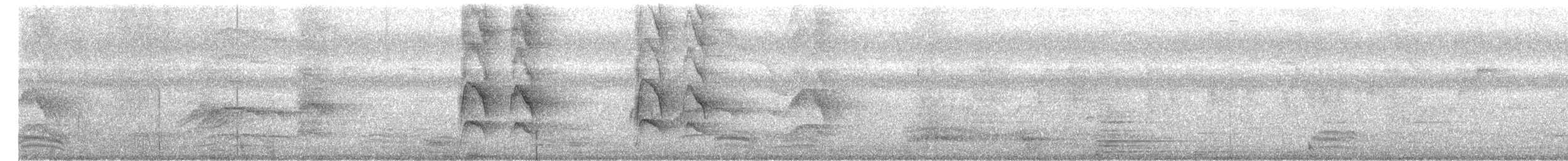 Perruche à collier - ML647541503