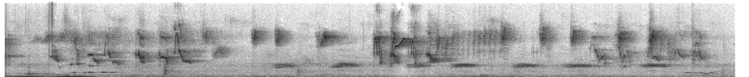 Tourterelle maillée - ML647541598