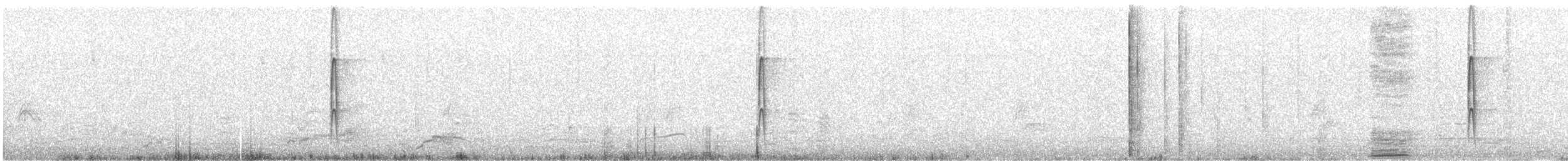 Pic arlequin - ML647541631