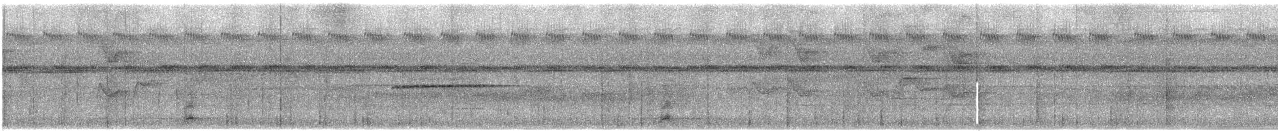 Halmahera Paradise-crow - ML647541649