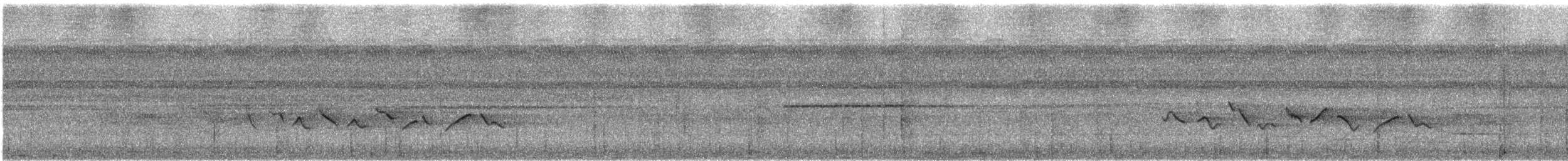 Cream-throated White-eye (Halmahera) - ML647541776