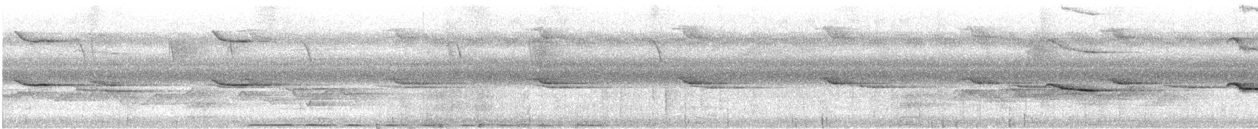 Spectacled Imperial-Pigeon - ML647541877