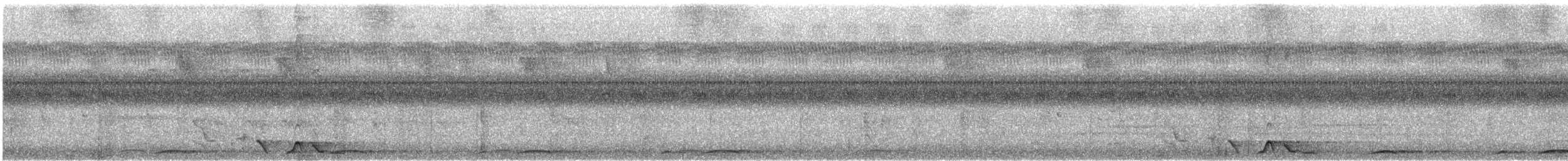 Halmahera Oriole - ML647541891