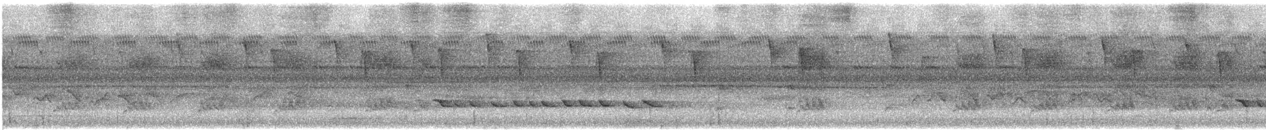 Halmahera Golden-Bulbul - ML647541911