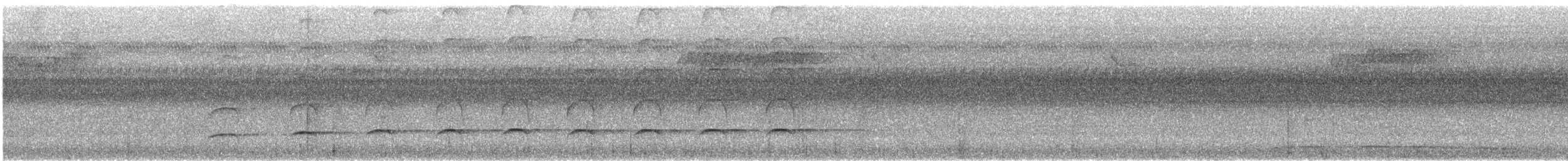 Moluccan Goshawk - ML647541931