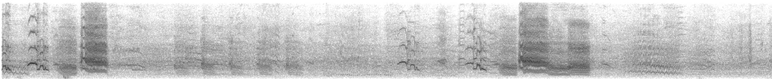 Red-crowned Amazon - ML647541992