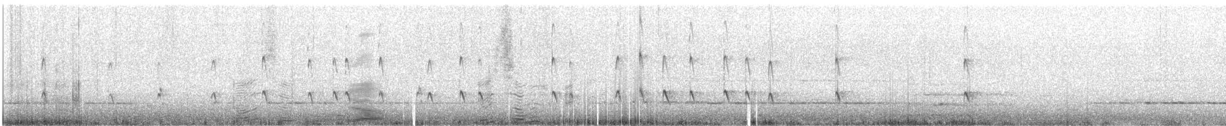 Lesser Yellowlegs - ML647542002