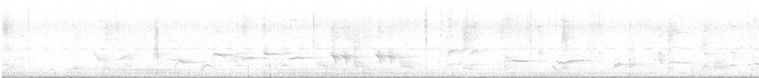 Long-billed Thrasher - ML647542384