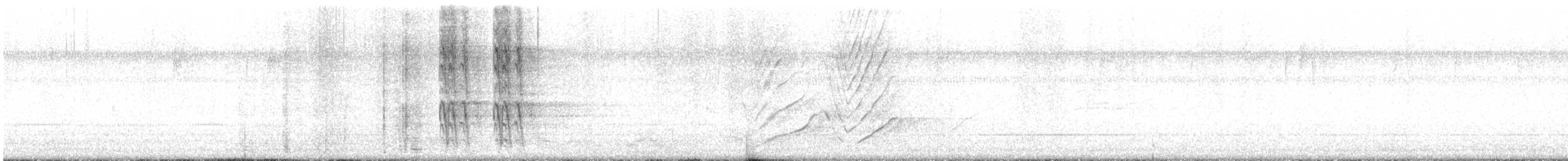 Great-tailed Grackle (Great-tailed) - ML647542389