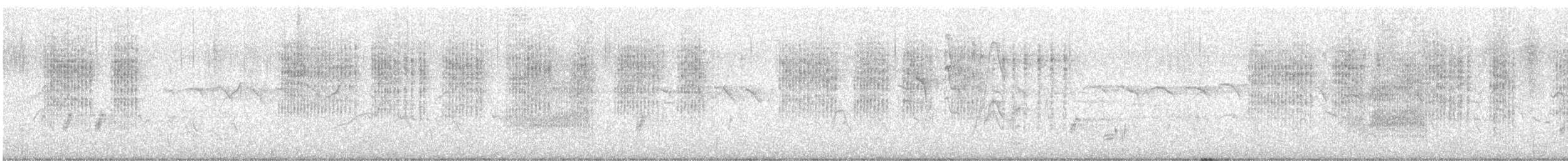 Common Woodshrike - ML647542458