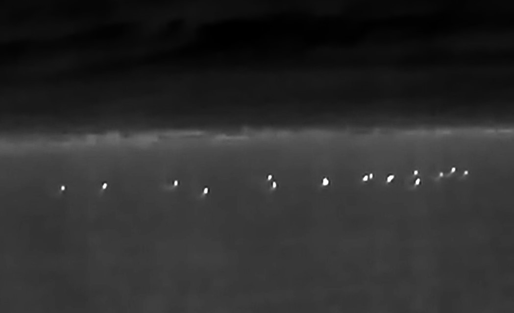 Сивка звичайна - ML647542708