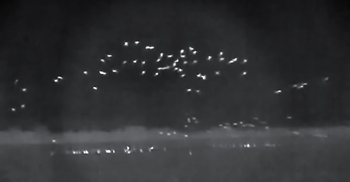 Mallard - ML647542734