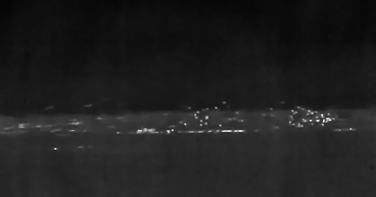 Mallard - ML647542749