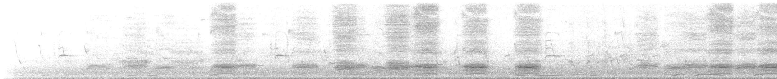 シマキンパラ - ML647542861