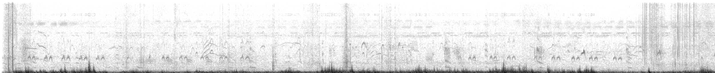 Fulvous Whistling-Duck - ML647543288